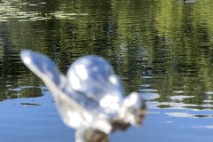 IMG_7508