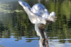 IMG_7509