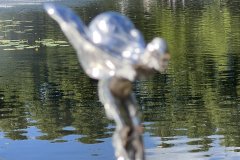 IMG_7510
