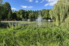 IMG_7511