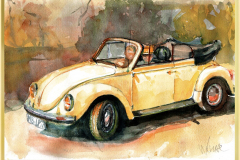 1303-cabrio-Kopie
