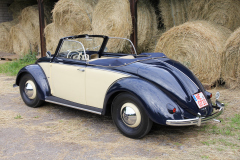 1950er Hebmüller Typ 14a