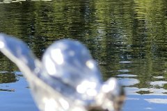 IMG_E7508