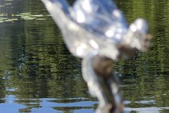 IMG_E7509