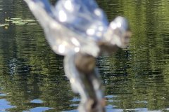 IMG_E7510