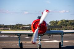 T0A3355
