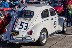 MG_7398
