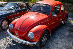 MG_5695