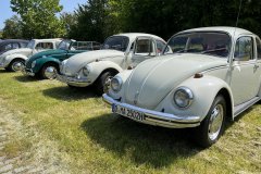 IMG_1239