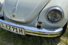 IMG_1246