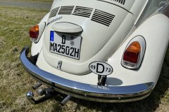 IMG_1247
