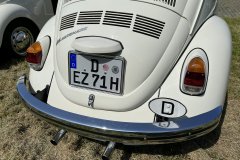 IMG_1248