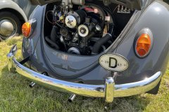 IMG_1249