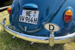 IMG_1250