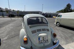 IMG_1291