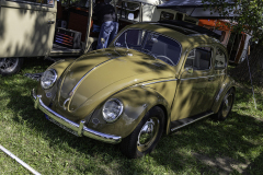MG_9512