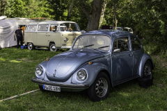 MG_9517