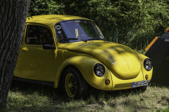 MG_9526