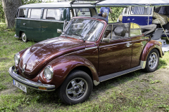 MG_9529