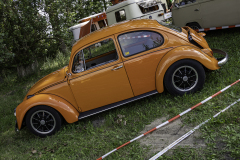 MG_9534