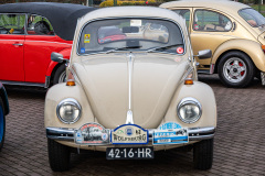 MG_8073