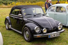 MG_7008