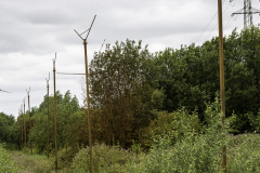 72A6661