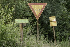 72A6672